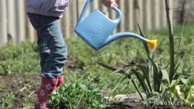 小女孩在小农场给植物浇水